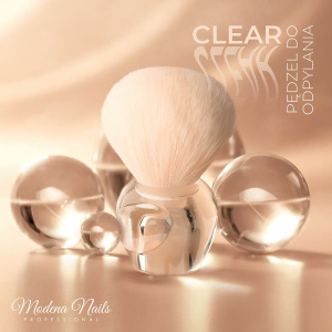 481149144_646044057797250_2908642830576837803_n