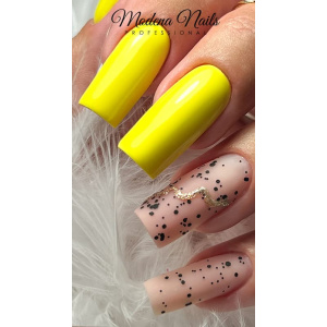 californication_nokti_2